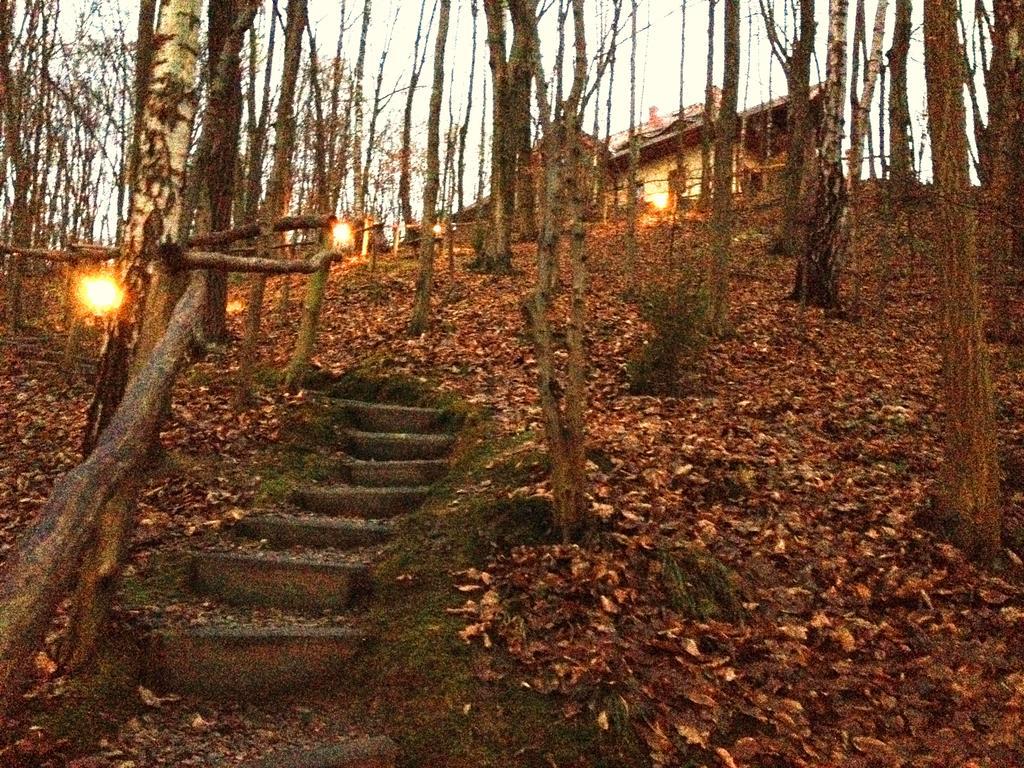 Osrodek Kwaskowa Villa Kazimierz Dolny Luaran gambar