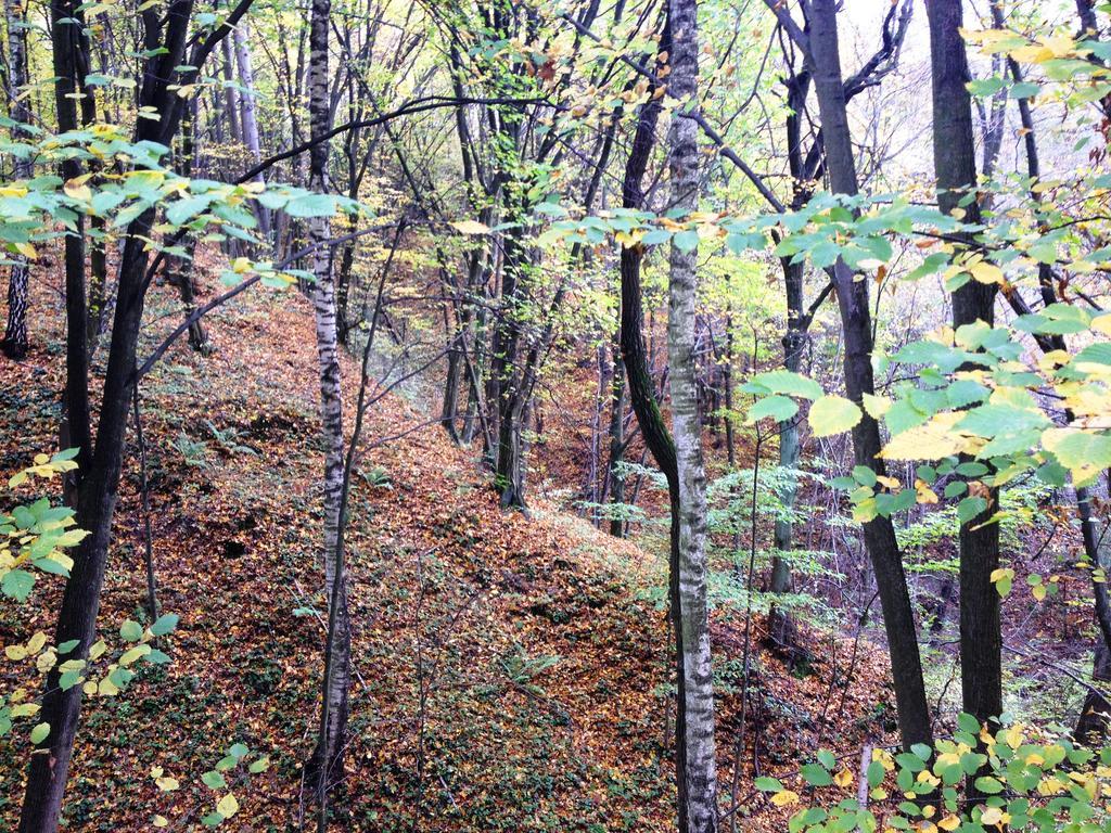 Osrodek Kwaskowa Villa Kazimierz Dolny Luaran gambar