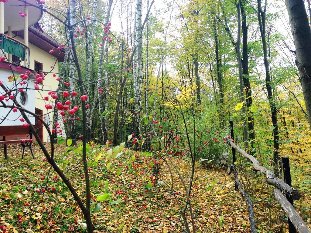 Osrodek Kwaskowa Villa Kazimierz Dolny Luaran gambar