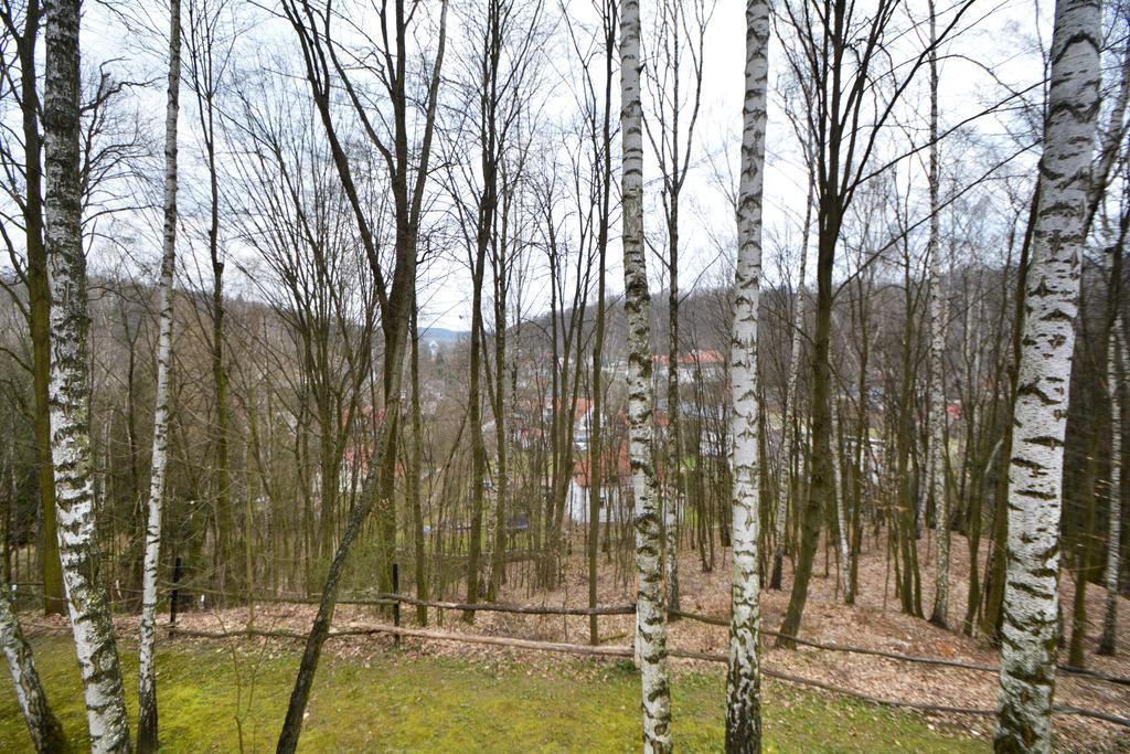 Osrodek Kwaskowa Villa Kazimierz Dolny Luaran gambar